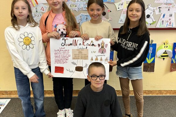 Karel IV. projekt
