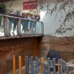 Soutěž v ZOO