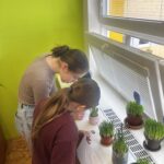 VELIKONOČNÍ PROJEKTOVÝ DEN VE 4.B